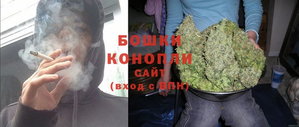 молекула духа Заволжск