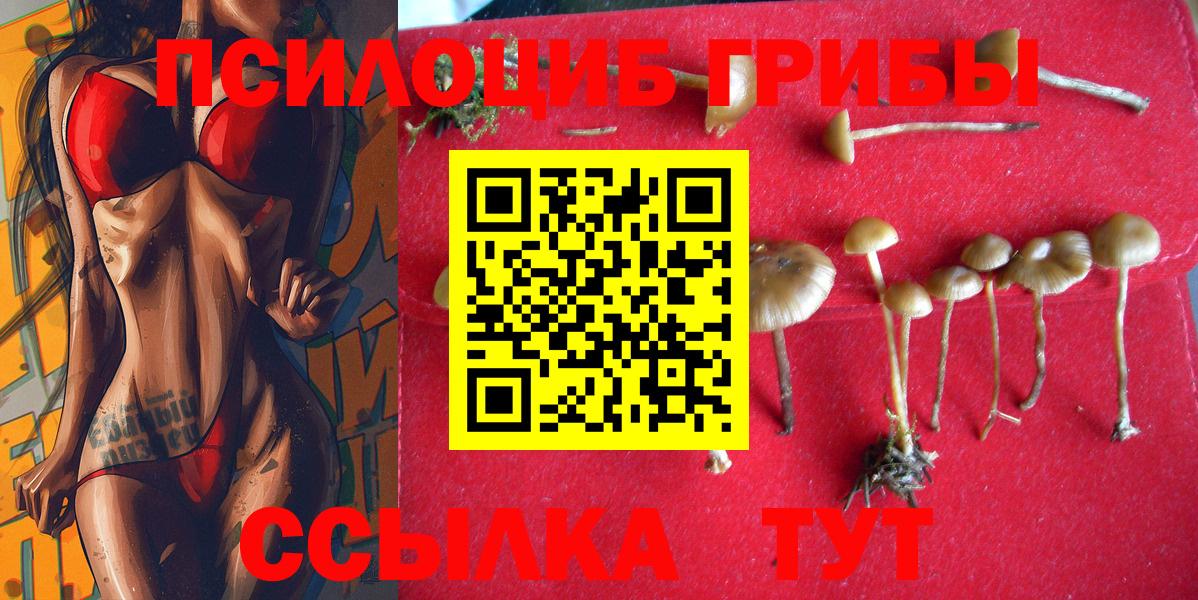 Псилоцибиновые грибы Magic Shrooms  Псилоцибиновые грибы GOLDEN TEACHER  Пыть-Ях 